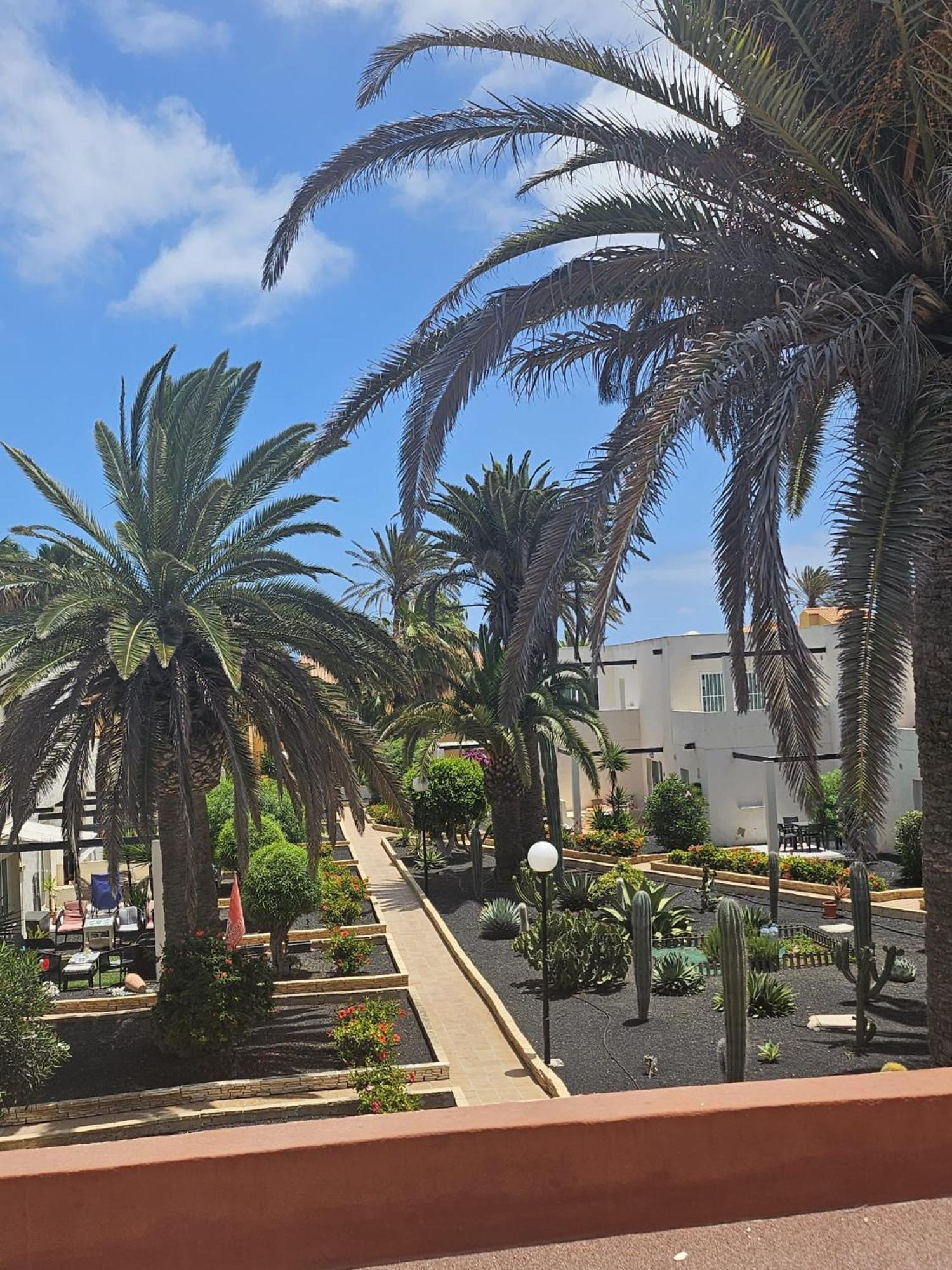 Apartament Alisios Playa Corralejo Zewnętrze zdjęcie