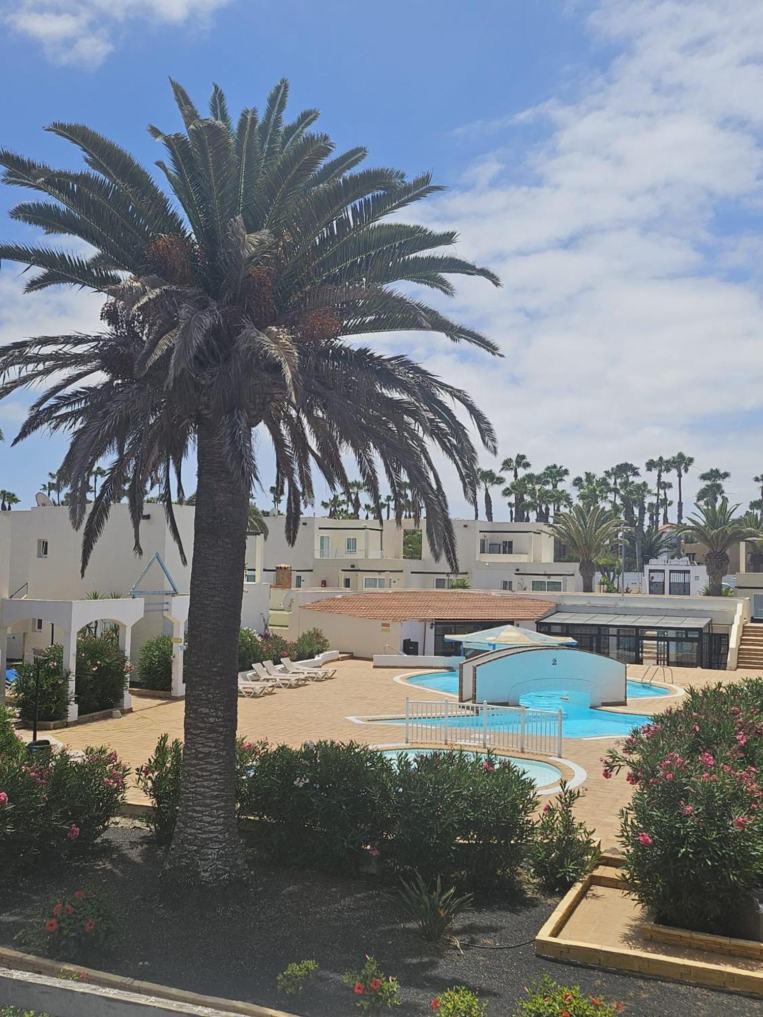 Apartament Alisios Playa Corralejo Zewnętrze zdjęcie